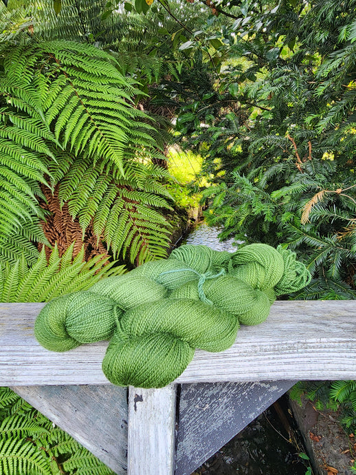 Forest Bird Contrast - 4ply High Twist Merino